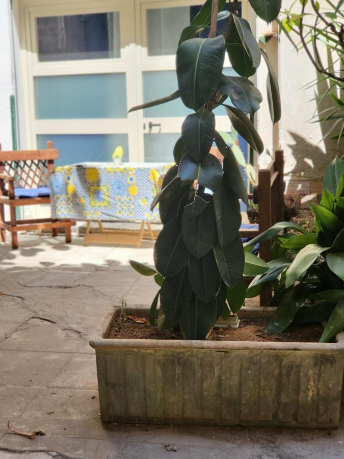 Apartamento San Basilio Palermo Exterior foto